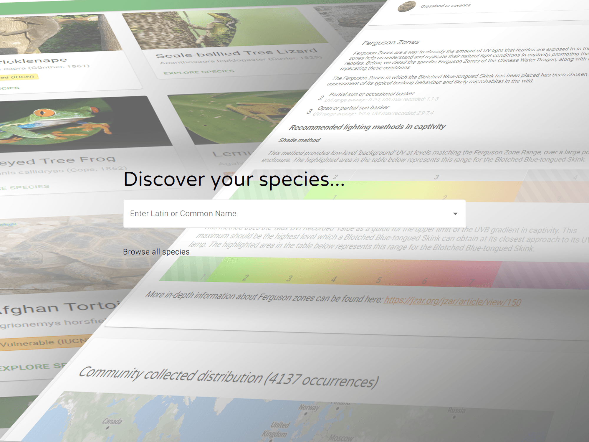 Cover Image for Launching Herptiles.info: A Resource for Reptile and Amphibian Enthusiasts